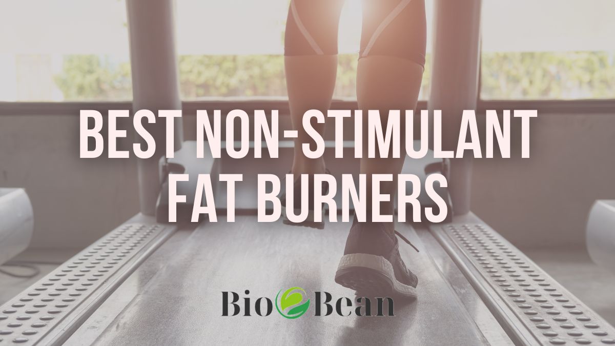 Best NonStim Fat Burner 2024 Bio Bean