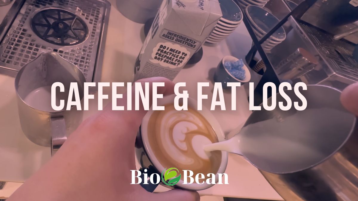 Can Caffeine Help With Weight Loss? Actual EVIDENCE & STUDIES Bio Bean