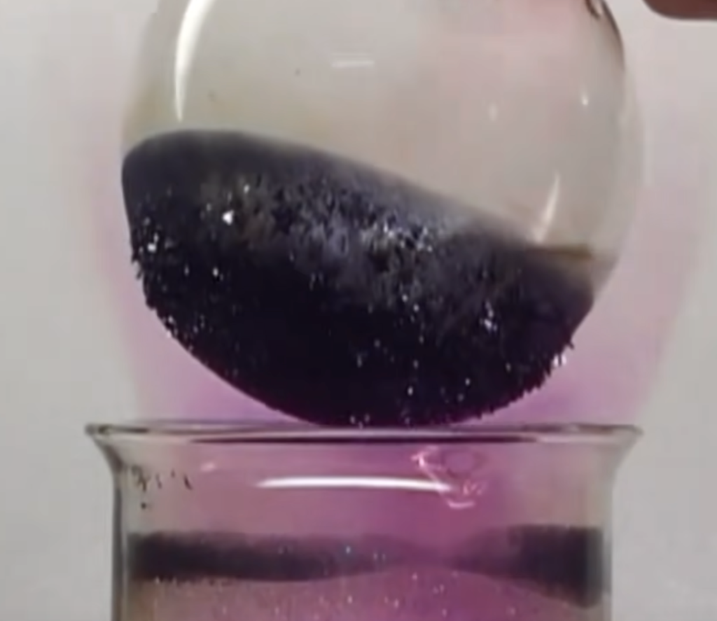 Can Iodine Help with Weight Loss? 2024 Updated Science & RESEARCH